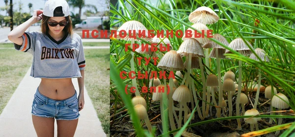 твердый Арсеньев