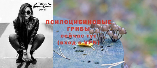 твердый Арсеньев