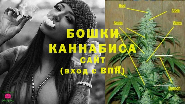 твердый Арсеньев
